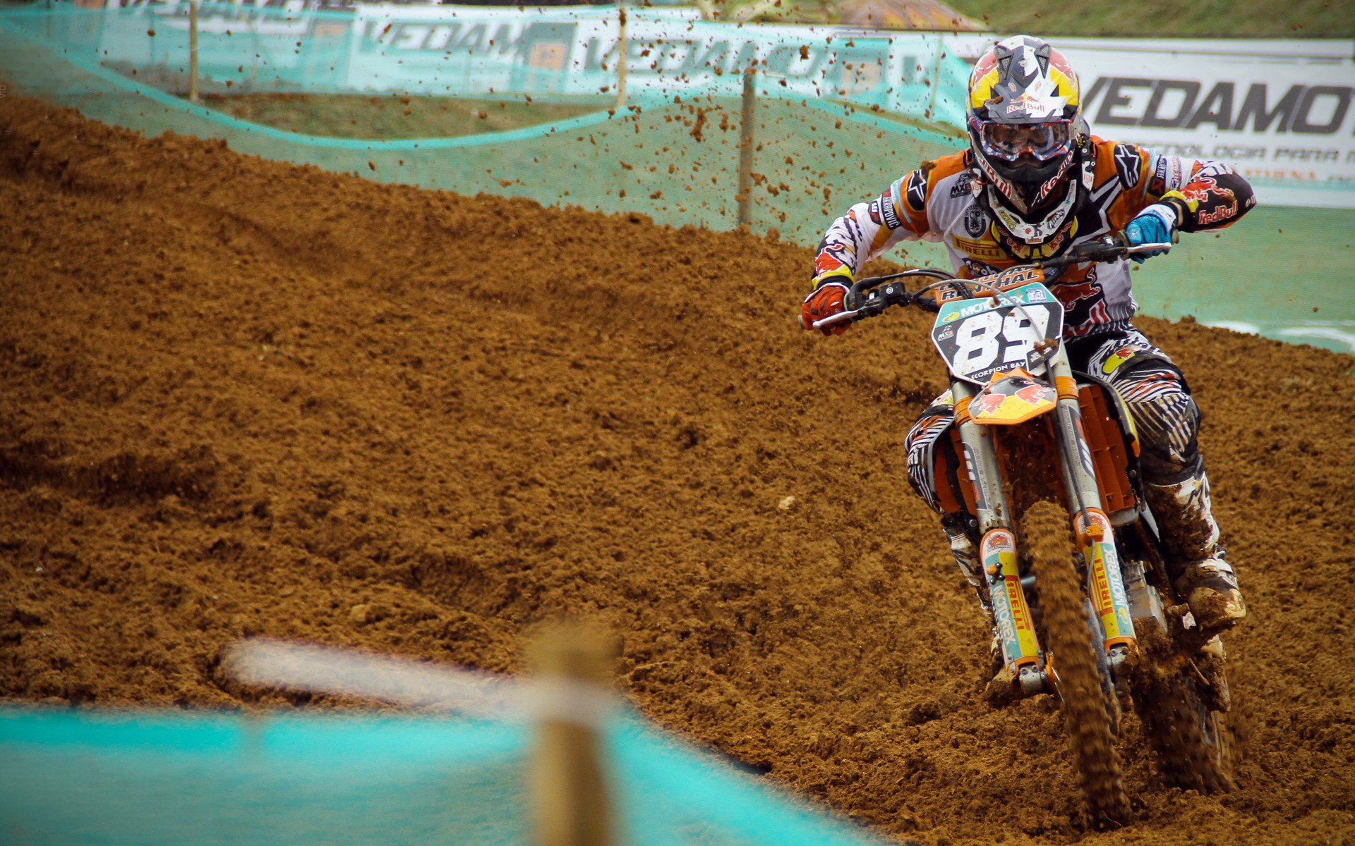 从潘帕斯到北伦敦,拉亚在重压下绽放,阿根廷铁血终结郁金香神话